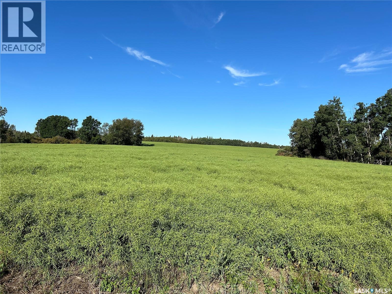 Strelioff Farm Land