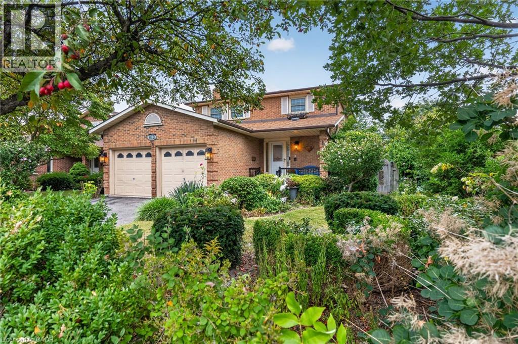 1191 CARLO Court