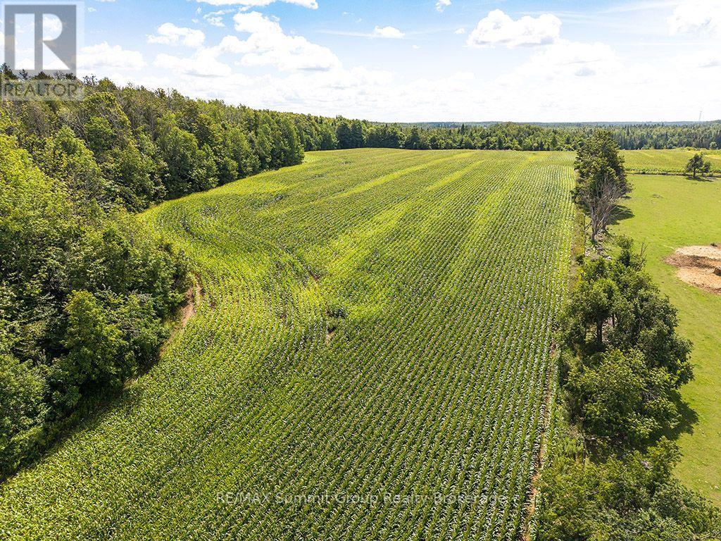 449686 10TH CONCESSION ROAD