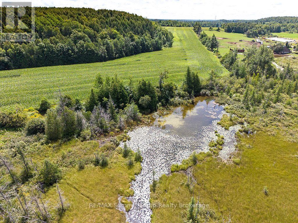 449686 10TH CONCESSION ROAD