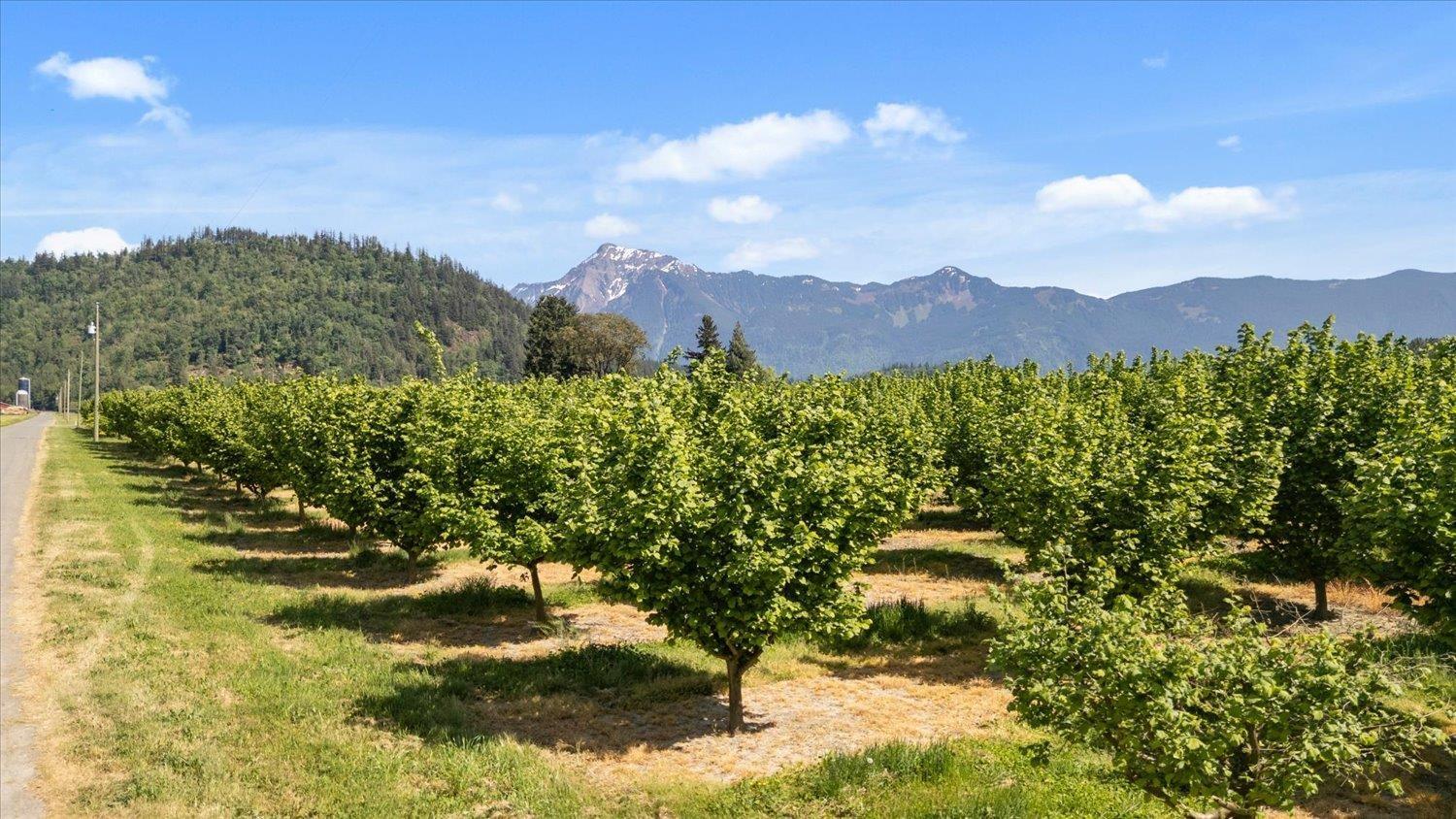 4602 HUNT ROAD, Agassiz