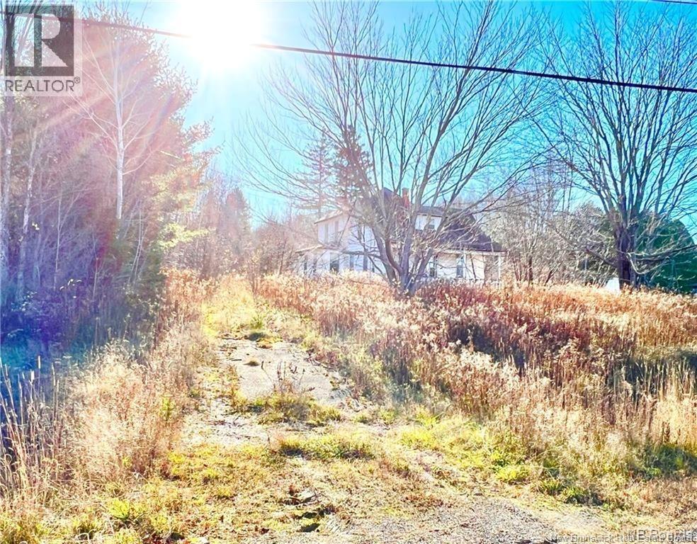 2435 Route 420 - Photo 2