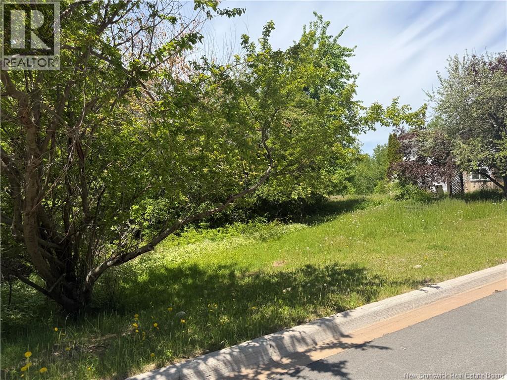Lot Mapleton Road - Photo 3