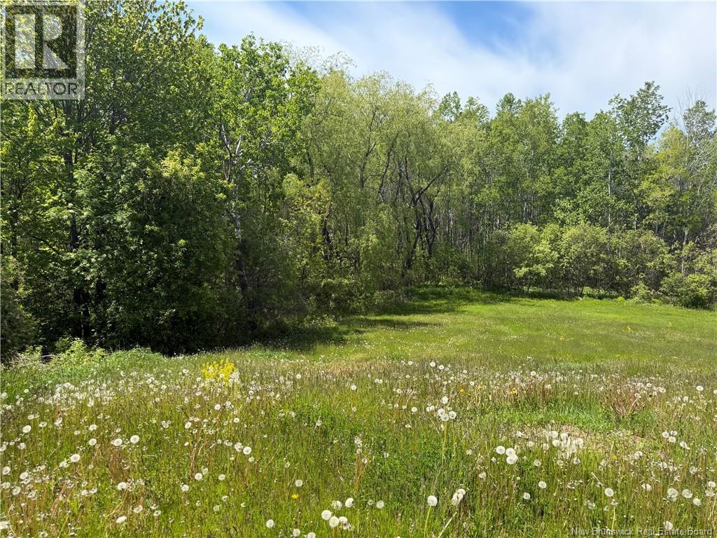 Lot Mapleton Road - Photo 2