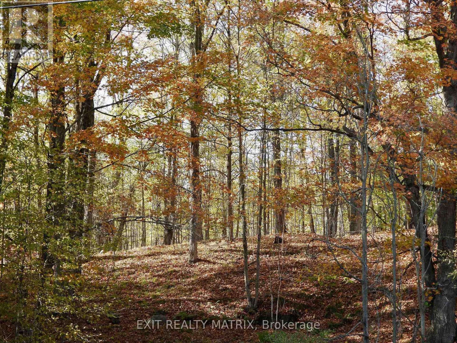 LOT 2 WOODLAND PARK DRIVE - Photo 4