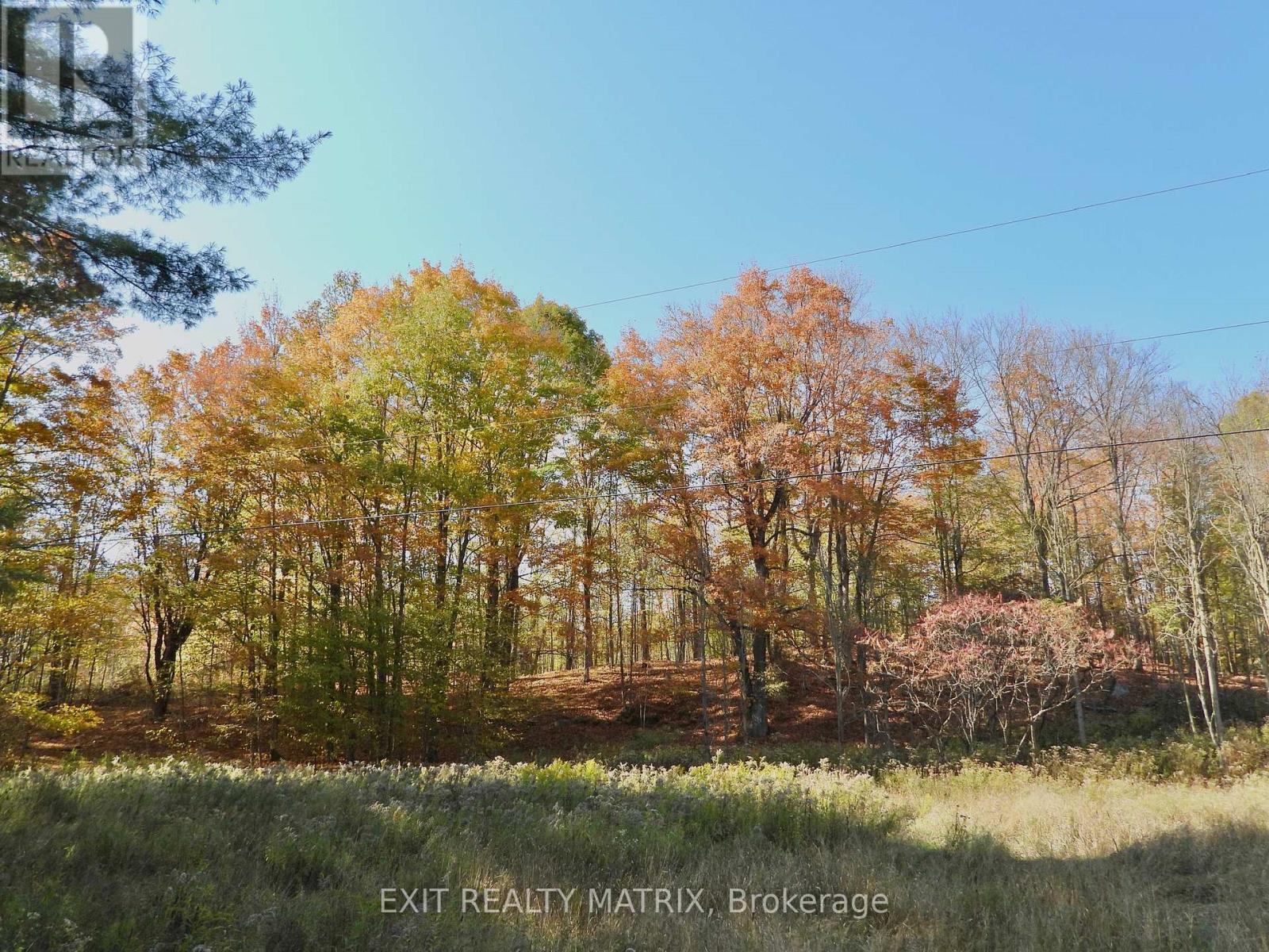 LOT 2 WOODLAND PARK DRIVE - Photo 2
