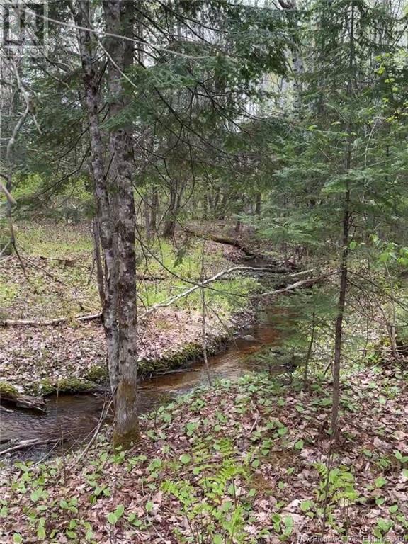 14 Acres Islandview Drive - Photo 3