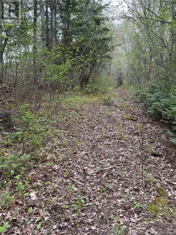 14 Acres Islandview Drive - Photo 2