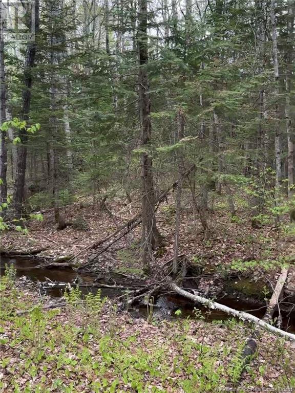 14 Acres Islandview Drive - Photo 4