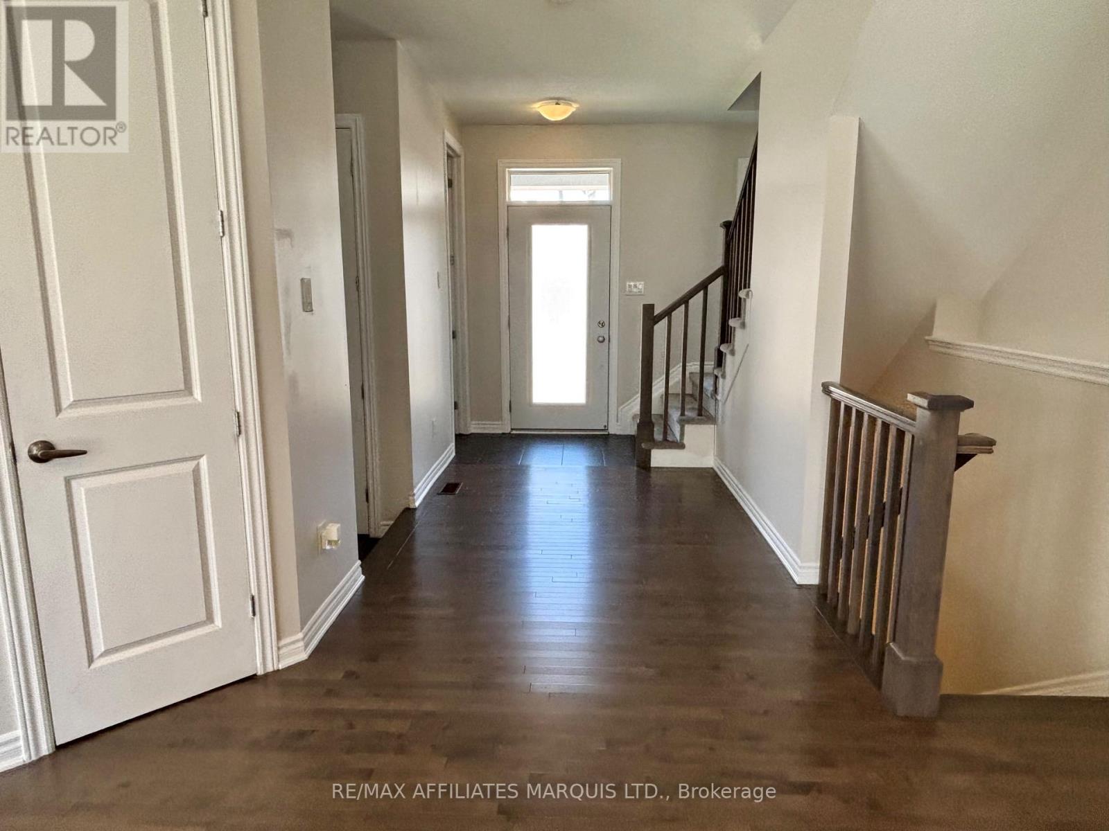 526 STURNIDAE STREET