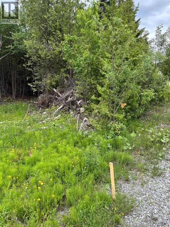 A-32 Deer Glen Drive - Photo 2