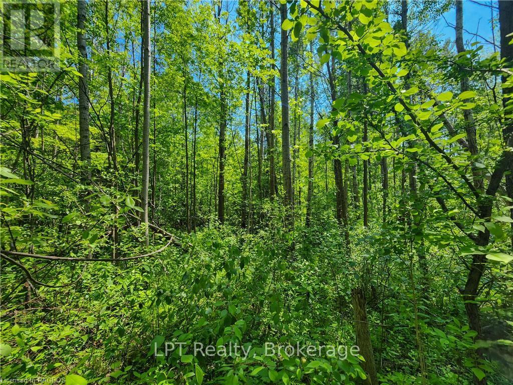 PT LT 23 MAPLE DRIVE