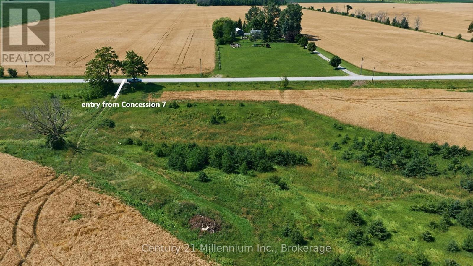 LT4 CONCESSION 7 ROAD