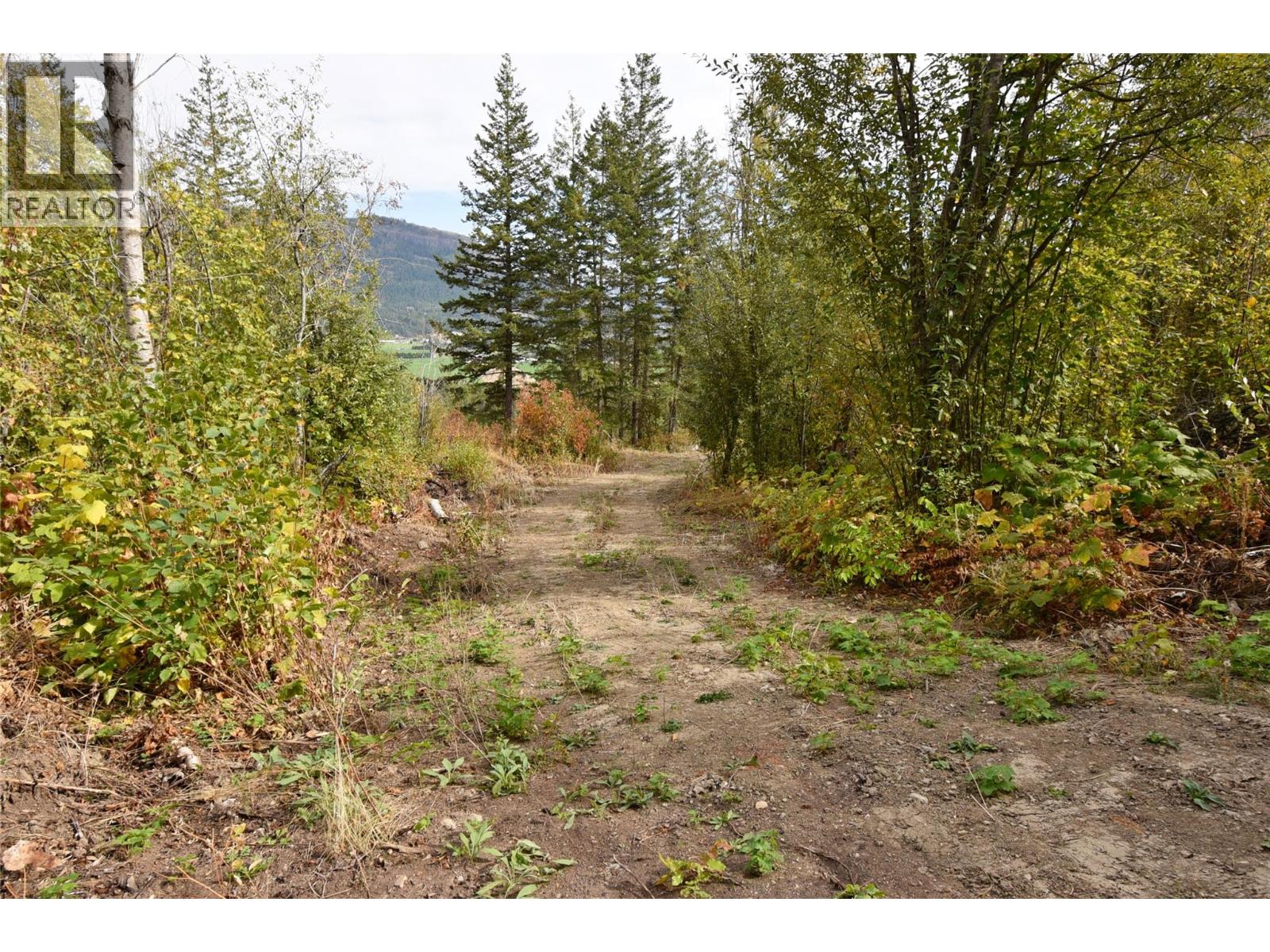 219 Crooked Pine Road