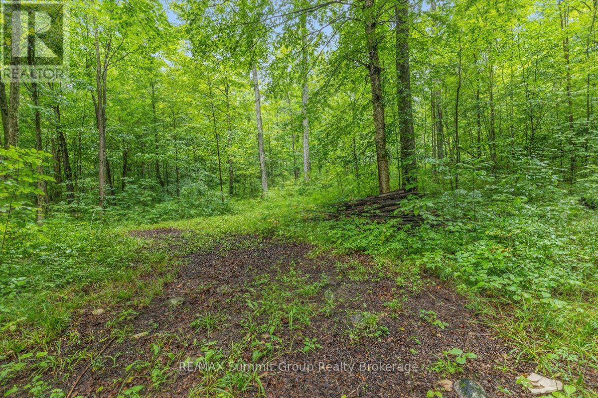 PT LT 4 CONCESSION ROAD 8