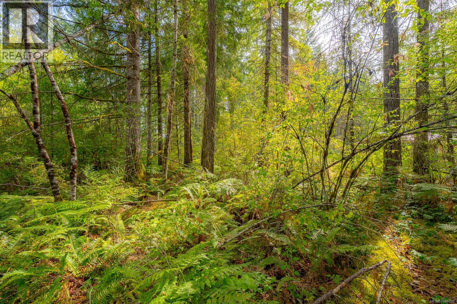 Lot B Fern Rd