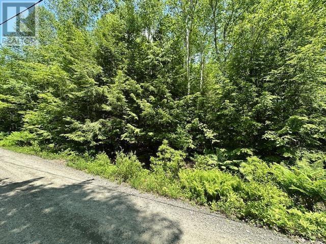 5 Joseph Street - Photo 4