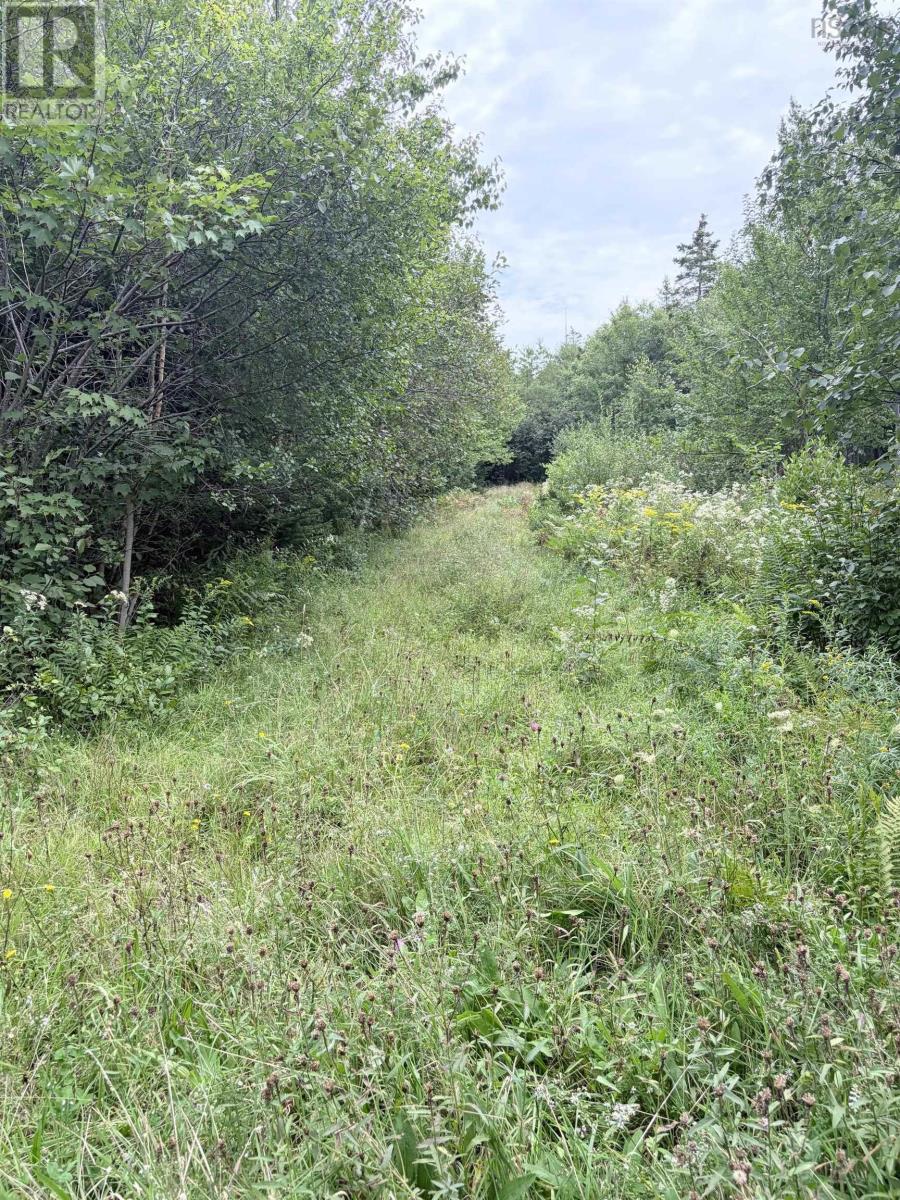 Vacant Land (PID 80045784) Oak Park Road - Photo 2