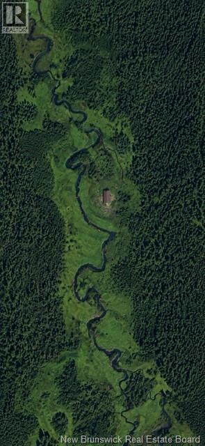 Camp Graham Road - Photo 2