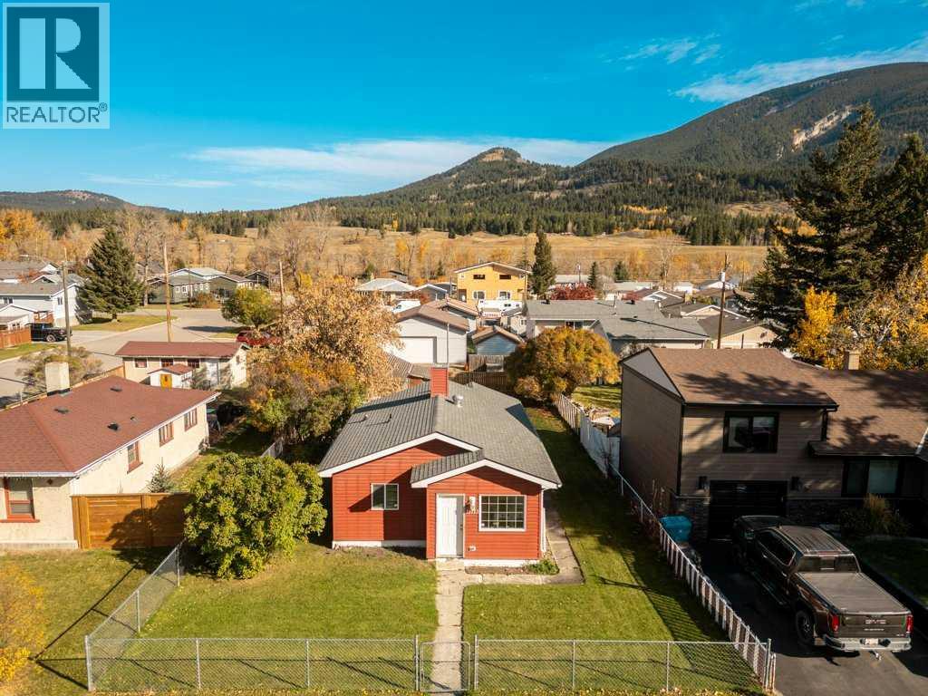 11713 20 AVENUE, BLAIRMORE, AB T0K 0E0 - Image 1966182281.jpeg?d=l