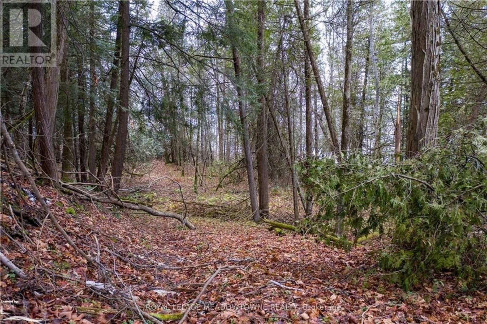 LOT 12 EAGLE RIDGE DRIVE