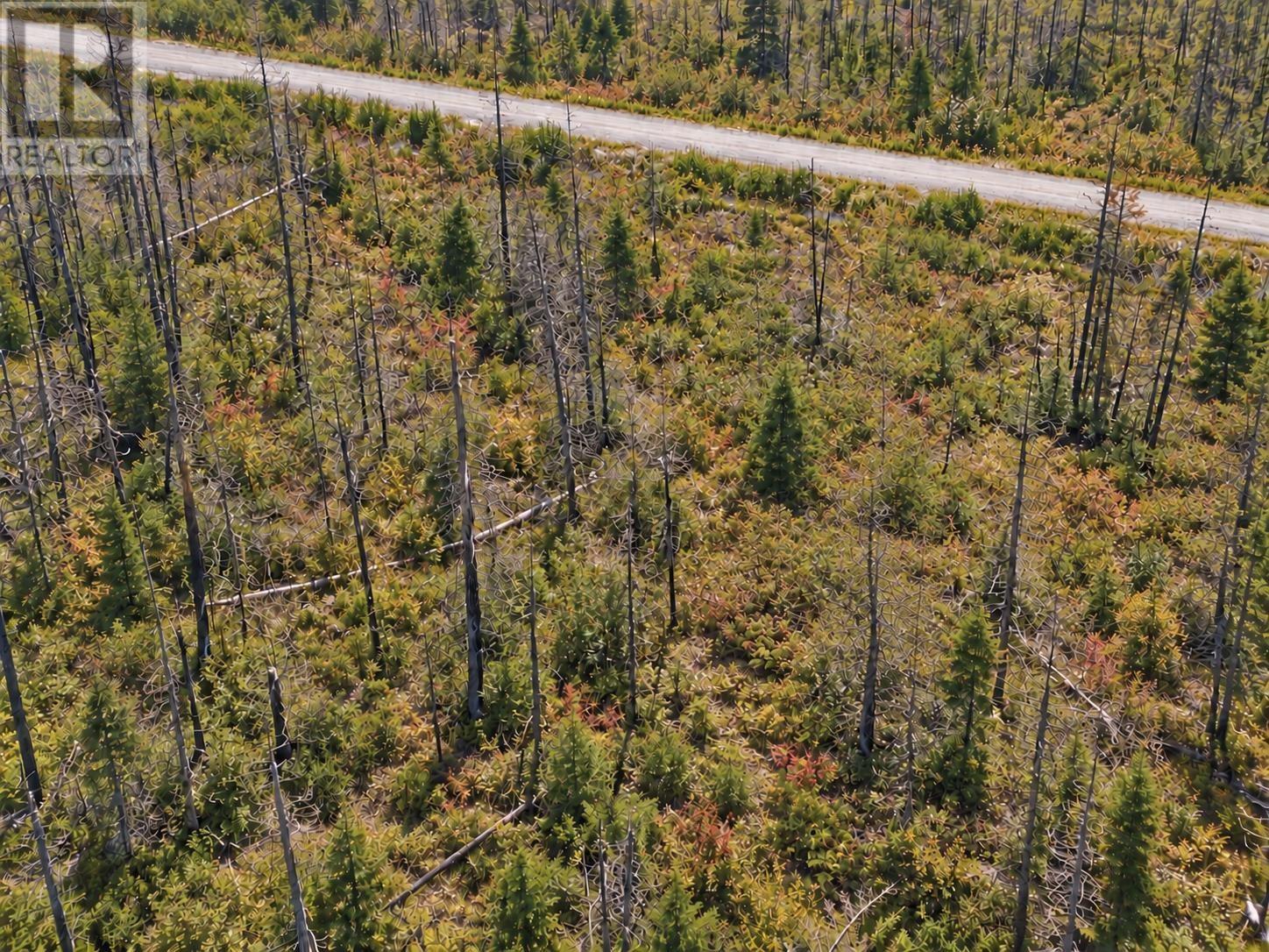 Lot M-5 West Sable Road - Photo 4