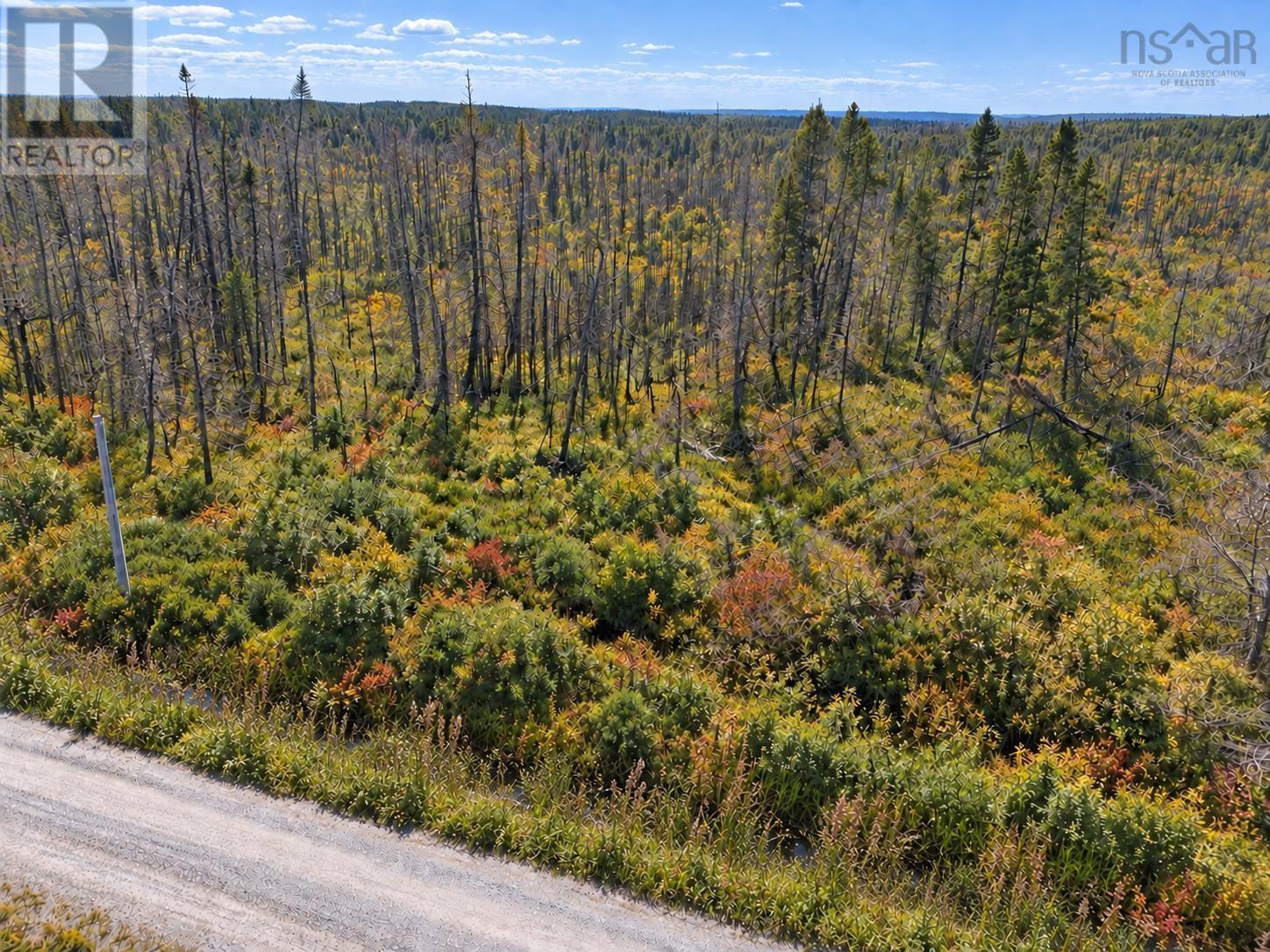 Lot M-5 West Sable Road - Photo 2