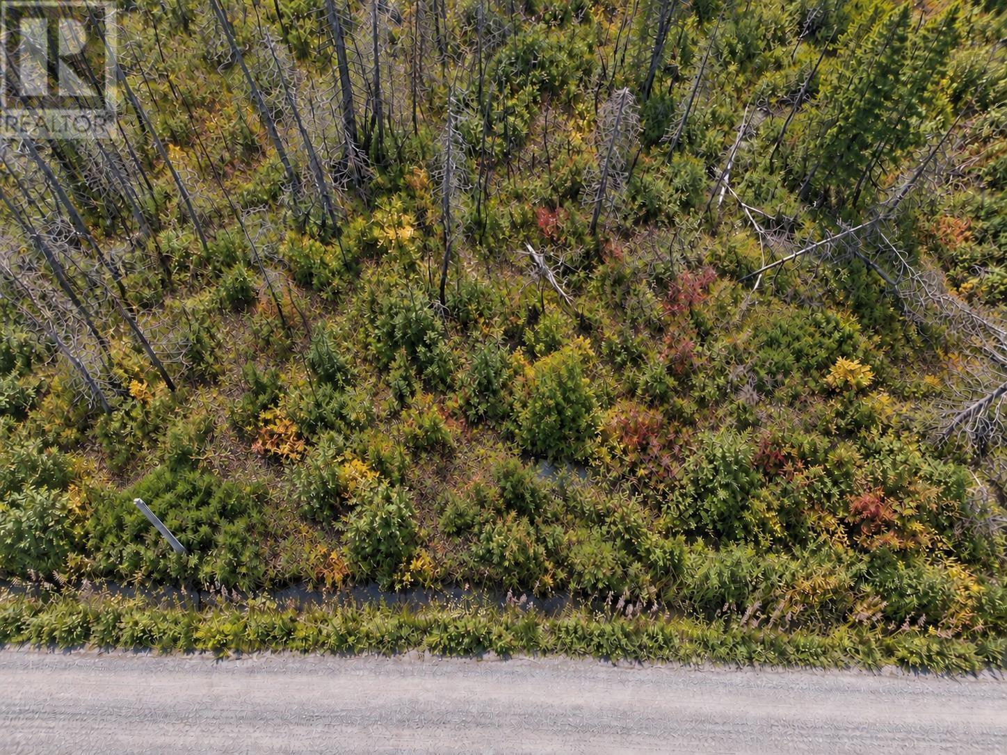 Lot M-5 West Sable Road - Photo 3