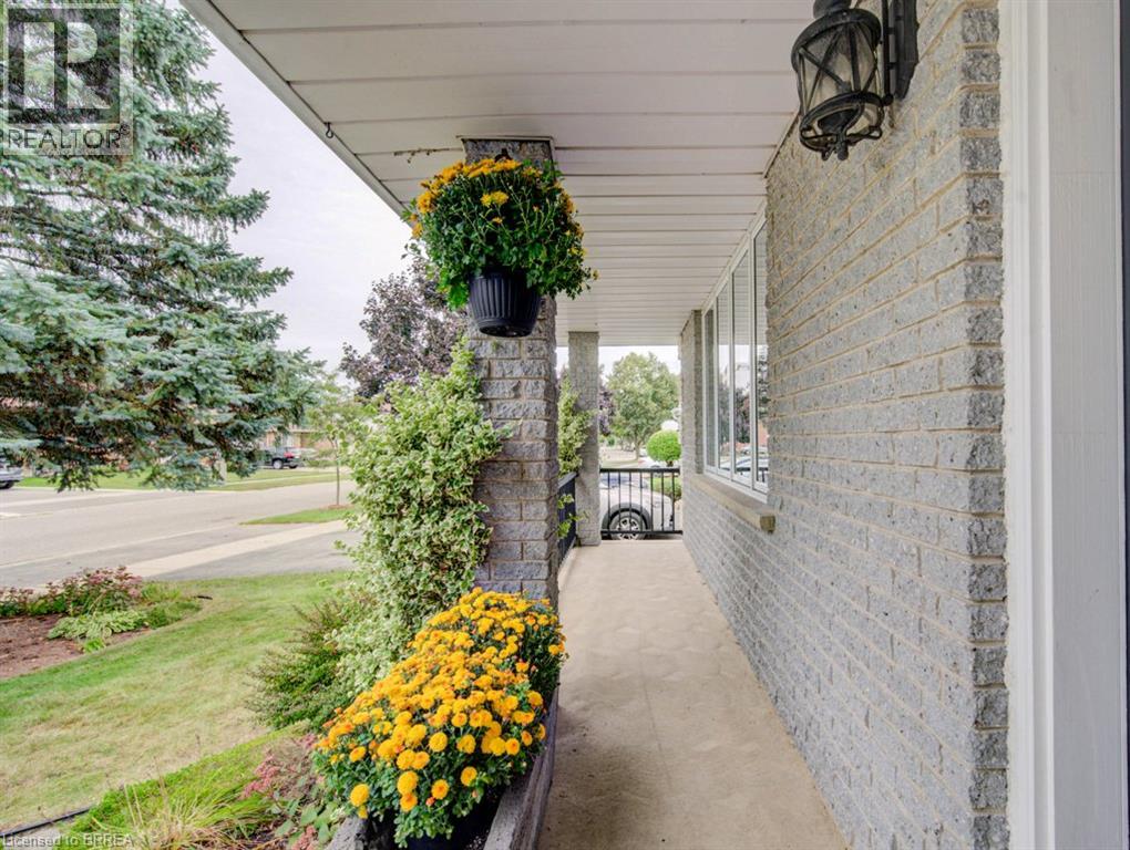 27 OLIVETREE Road