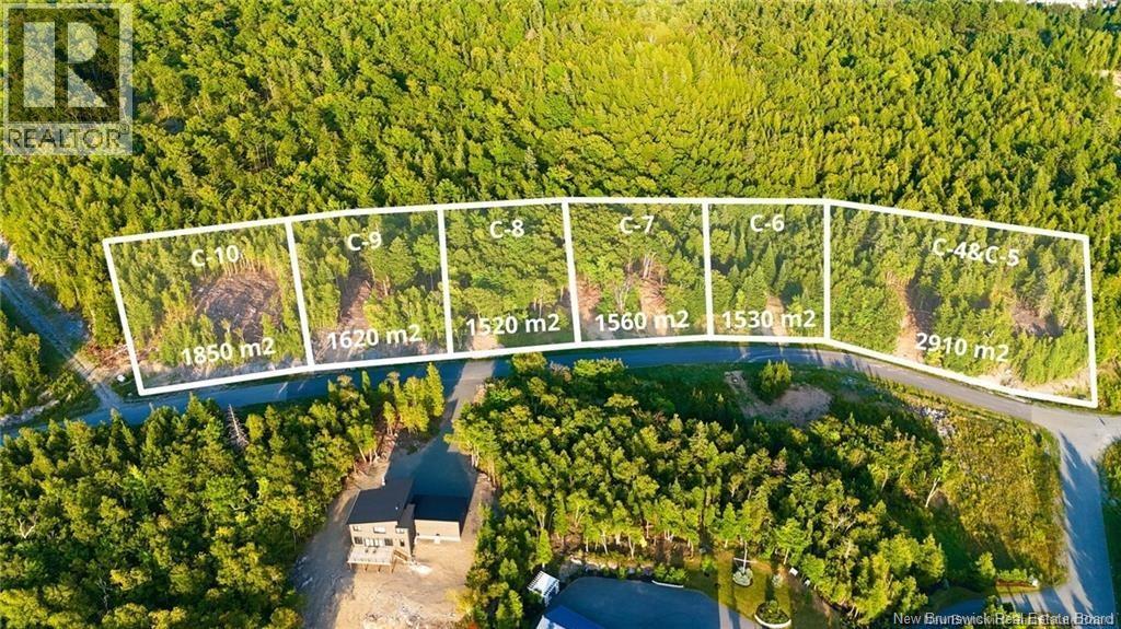 Lot C-4&5 Shoreline Drive - Photo 3
