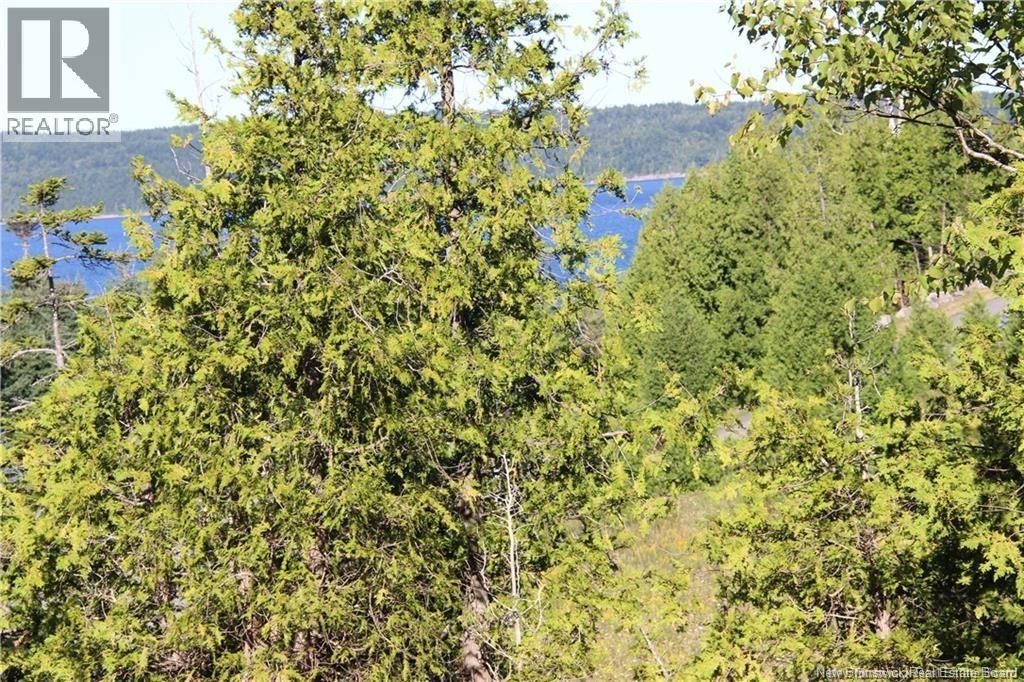 Lot C-4&5 Shoreline Drive - Photo 2