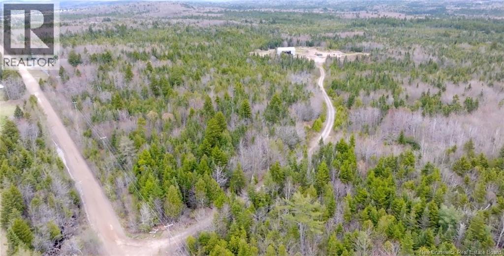 Downeast Drive - Photo 4
