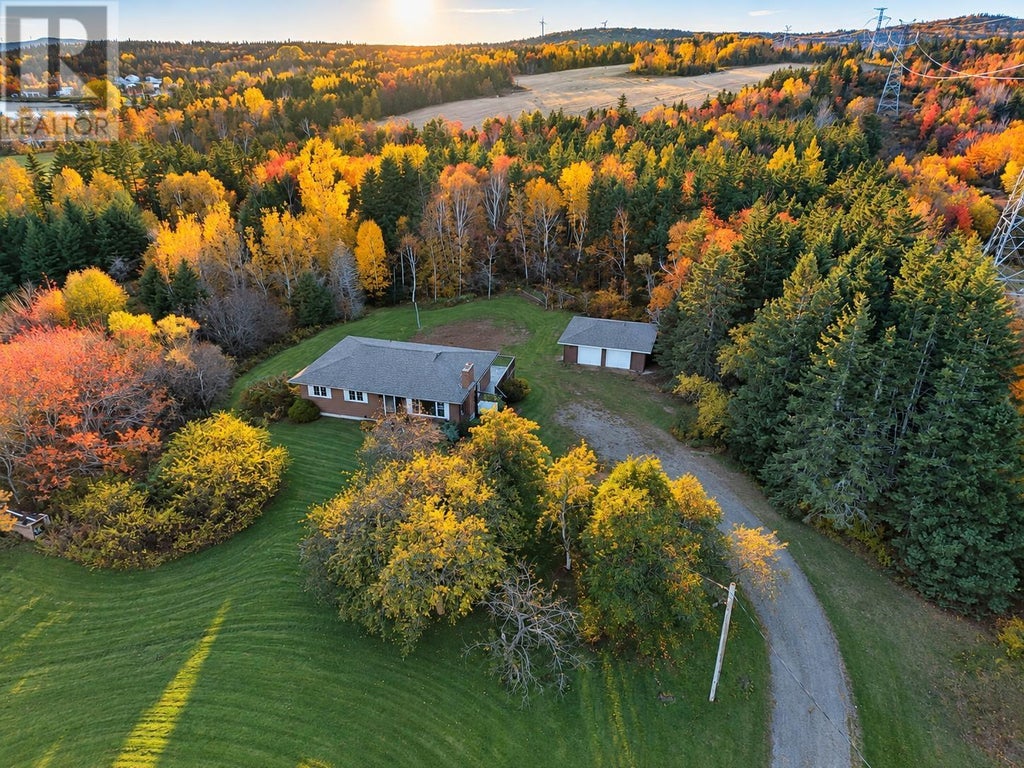 49 POINT ACONI ROAD, POINT ACONI, NS B1Y 3B2 - Image 2489973354.jpeg?d=l