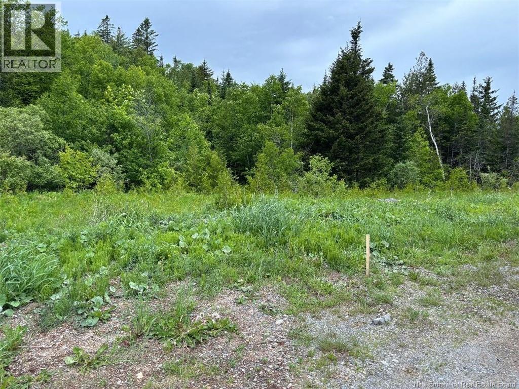 00 Drury Cove Road - Photo 2