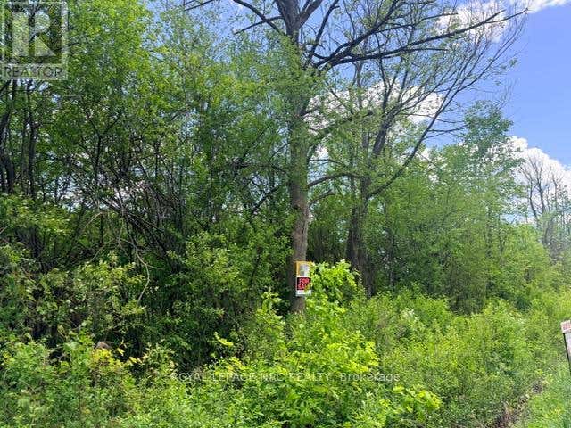 V/L CENTRALIA AVENUE N