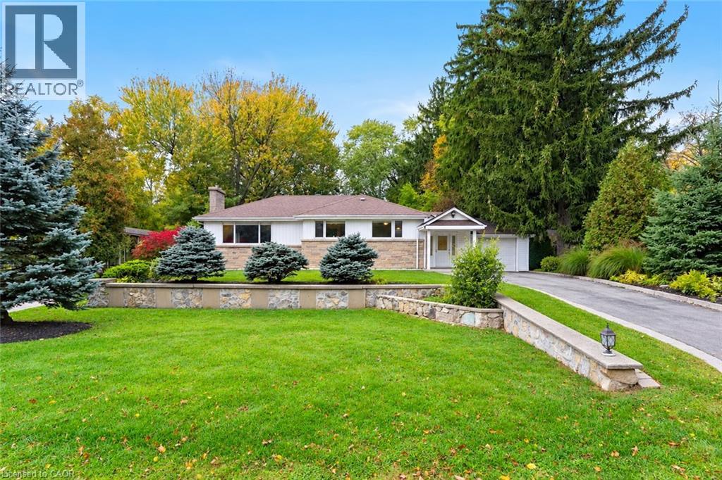 284 MAPLEDENE Drive