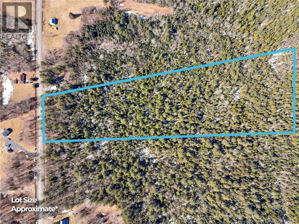 Lot 24-1 Route 102 - Photo 2