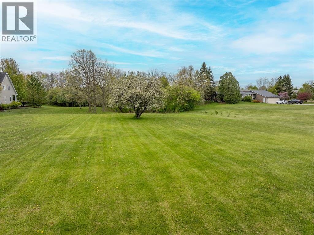 3855 CAROLINE STREET - Photo 3