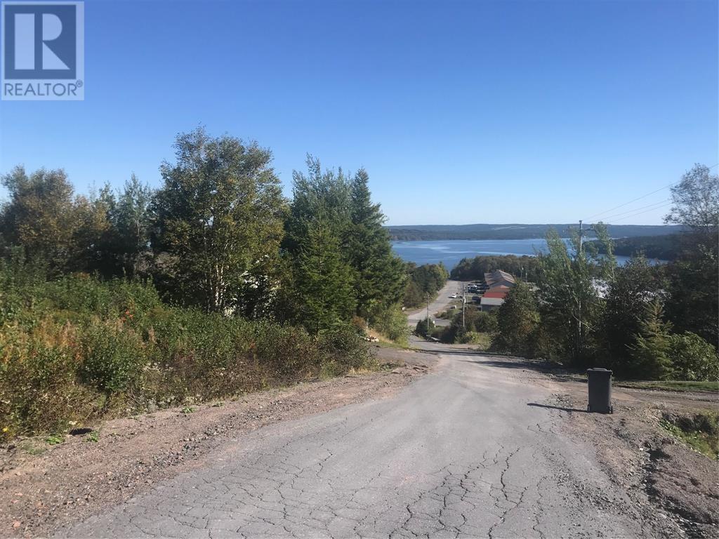 12 Random View Road - Photo 2