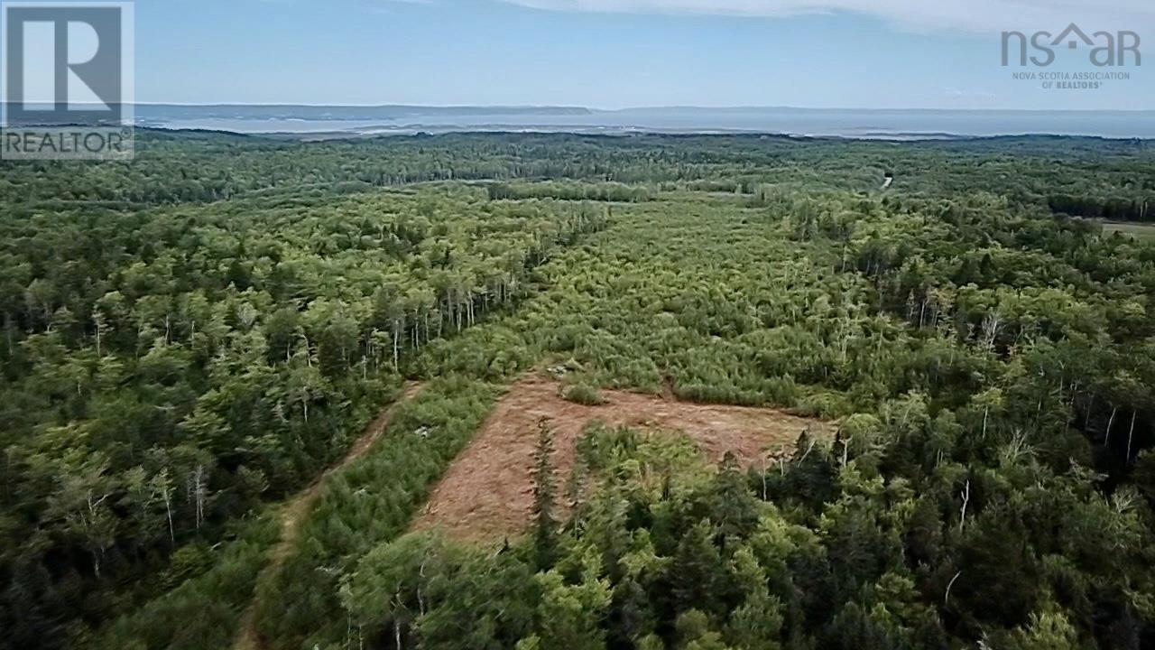 Lot 9 Peck Meadow Road - Photo 2