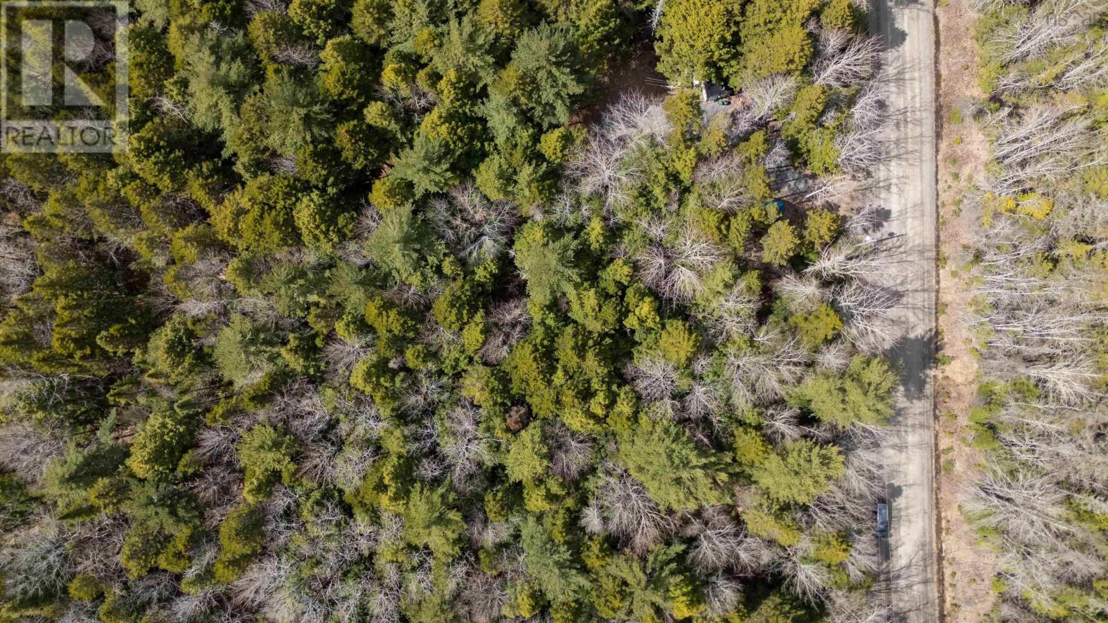 Lot 73 Hirtle Road - Photo 4