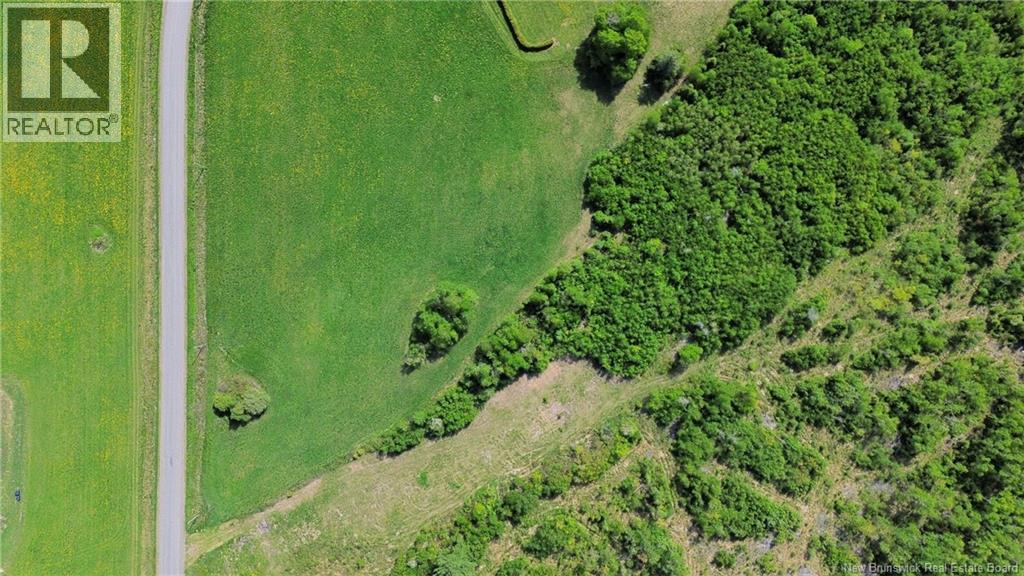 Lot 24-01 McKenna Road - Photo 4