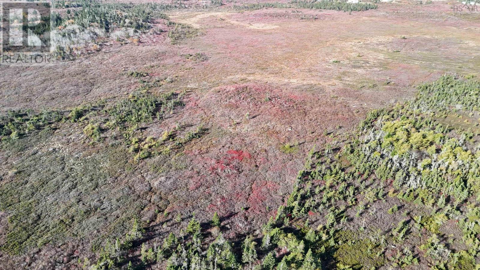 Acreage Highway 3 - Photo 4