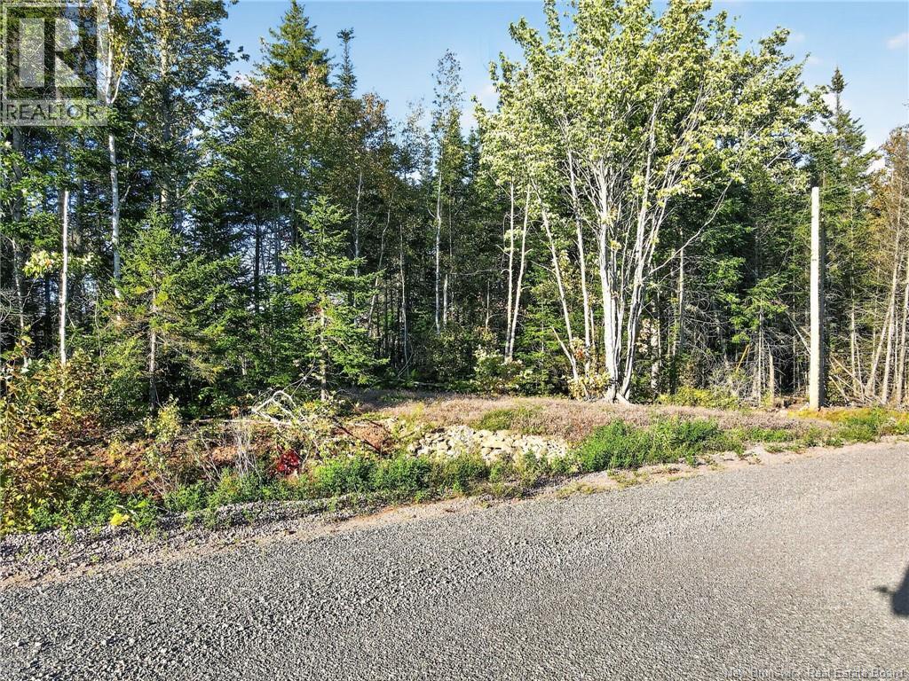 211 La Fontaine Drive - Photo 3