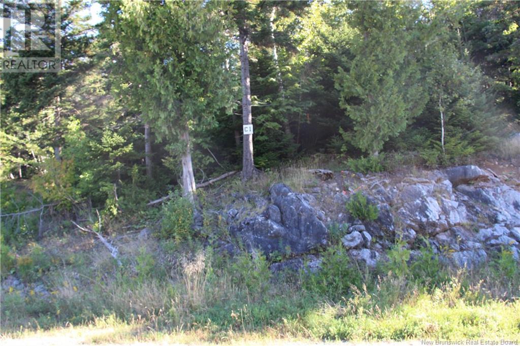 00 Drury Cove Road - Photo 2