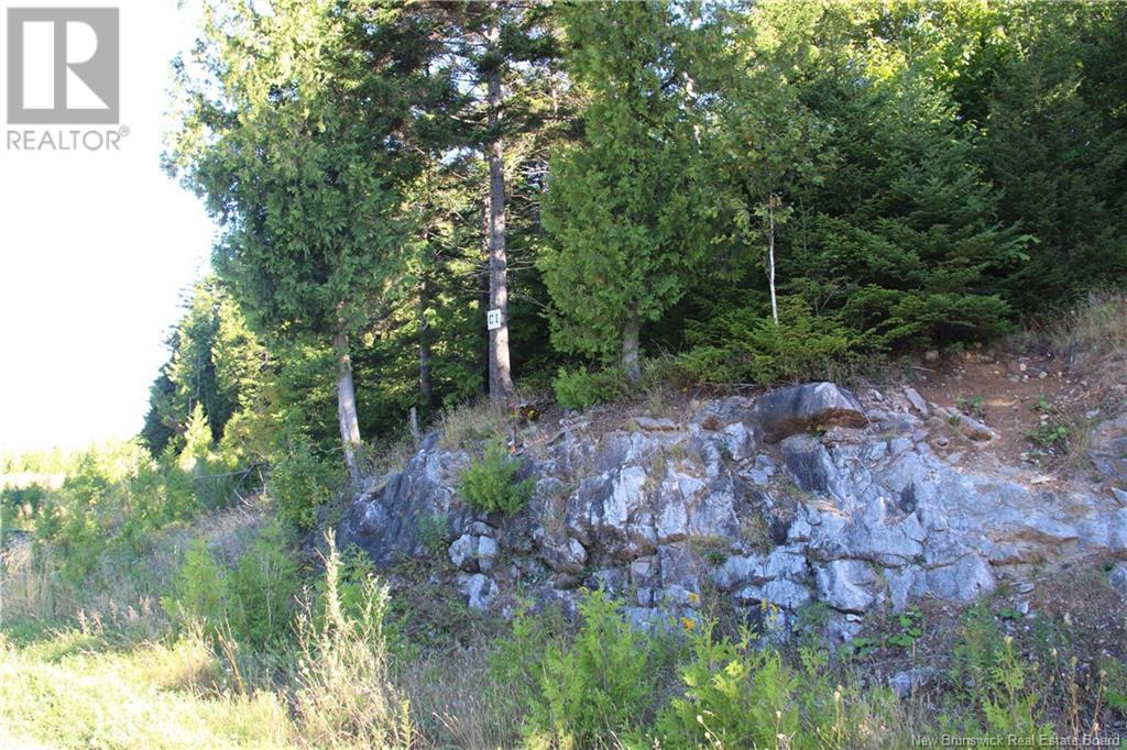 00 Drury Cove Road - Photo 4