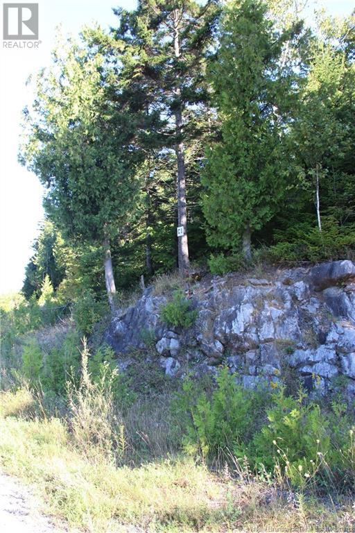 00 Drury Cove Road - Photo 3