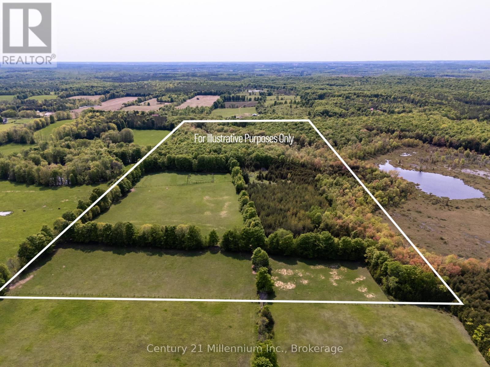 215319 CONCESSION 4