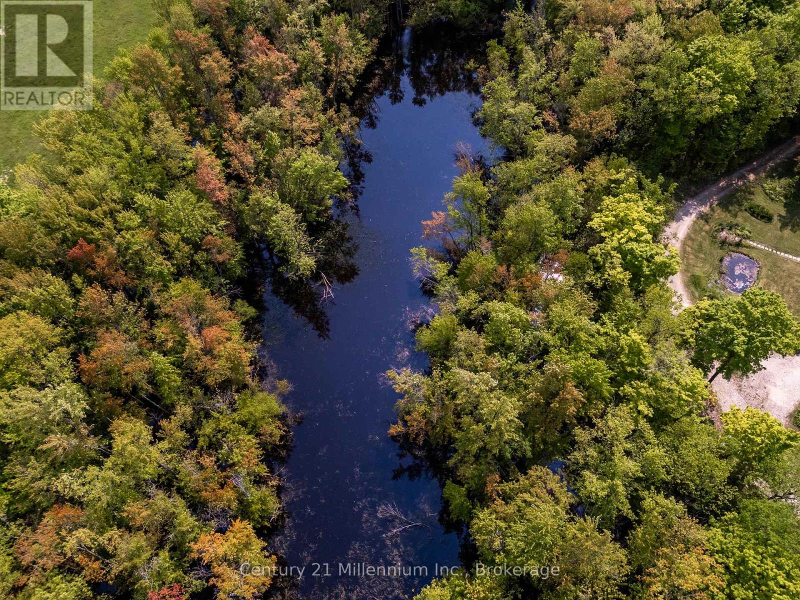 215319 CONCESSION 4