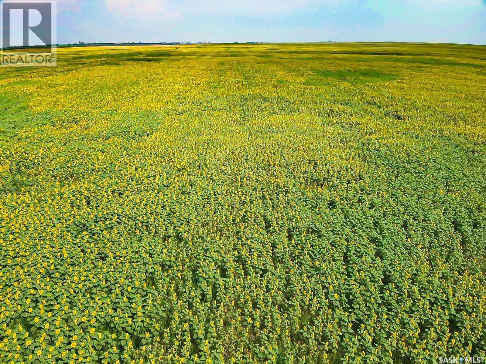 25 Quarter Sections - Rm Souris Valley